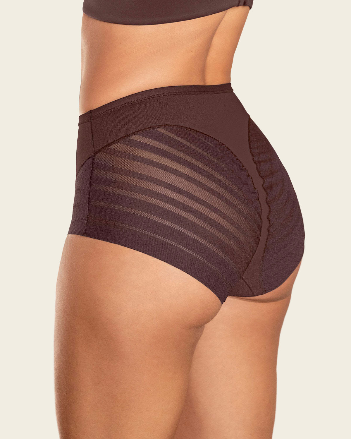 SilkLine™ Sheer-Stripe High-Waisted Lace Shaper Panty - BYS